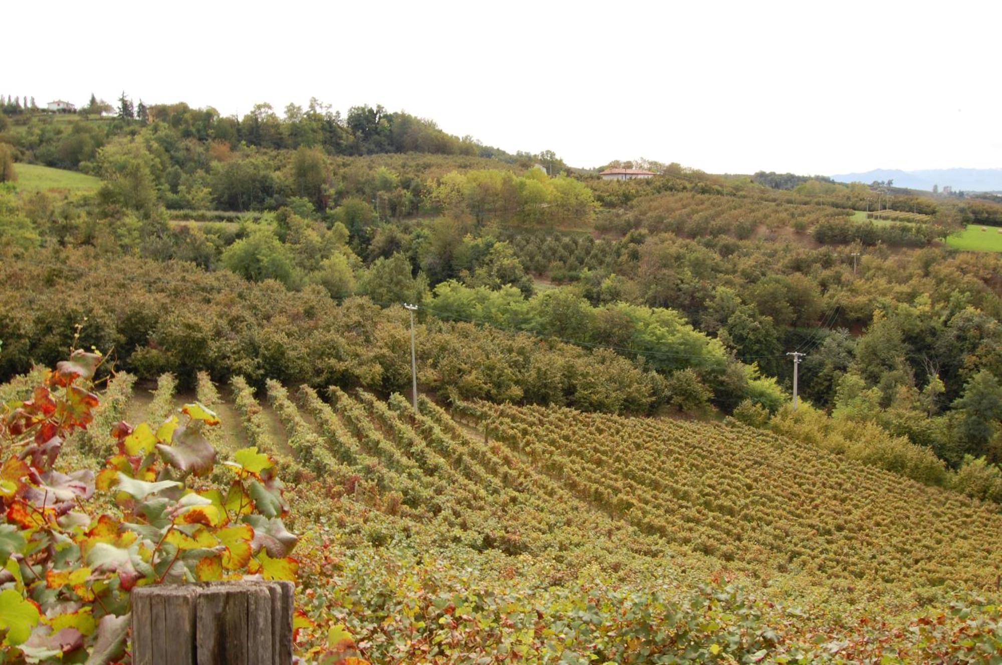 Agriturismo 'D Raine Montelupo Albese Εξωτερικό φωτογραφία